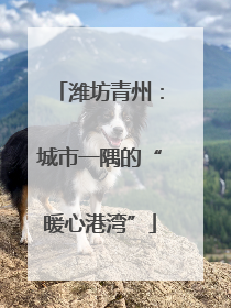 潍坊青州：城市一隅的“暖心港湾”