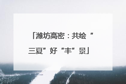 潍坊高密：共绘“三夏”好“丰”景