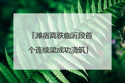 潍宿高铁临沂段首个连续梁成功浇筑
