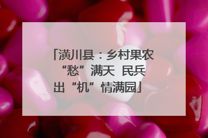 潢川县：乡村果农“愁”满天  民兵出“机”情满园