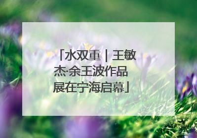 水双重｜王敏杰·余王波作品展在宁海启幕