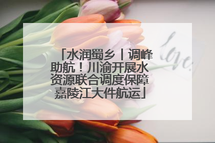 水润蜀乡丨调峰助航！川渝开展水资源联合调度保障嘉陵江大件航运