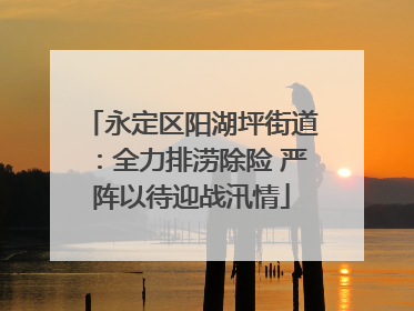 永定区阳湖坪街道：全力排涝除险 严阵以待迎战汛情