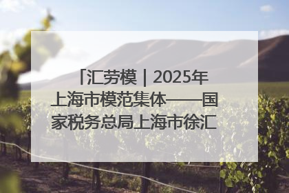 汇劳模｜2025年上海市模范集体——国家税务总局上海市徐汇区税务局第一税务所