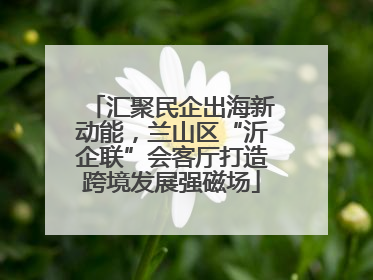 汇聚民企出海新动能，兰山区“沂企联”会客厅打造跨境发展强磁场