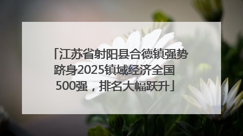 江苏省射阳县合德镇强势跻身2025镇域经济全国500强，排名大幅跃升