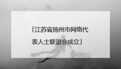 江苏省扬州市网络代表人士联谊会成立