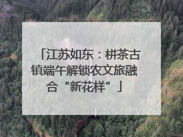 江苏如东：栟茶古镇端午解锁农文旅融合“新花样”