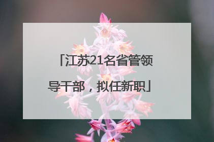 江苏21名省管领导干部，拟任新职