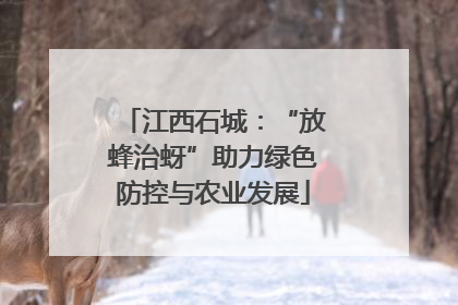 江西石城：“放蜂治蚜”助力绿色防控与农业发展