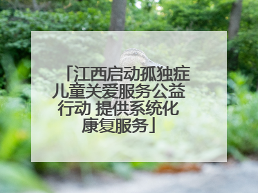 江西启动孤独症儿童关爱服务公益行动 提供系统化康复服务
