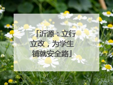 沂源：立行立改，为学生铺就安全路