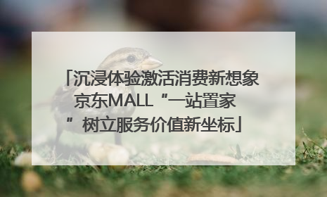 沉浸体验激活消费新想象 京东MALL“一站置家”树立服务价值新坐标
