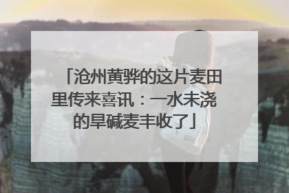 沧州黄骅的这片麦田里传来喜讯：一水未浇的旱碱麦丰收了