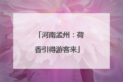 河南孟州：荷香引得游客来