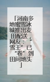 河南多地蜜雪冰城推出麦田配送，网友：“雪王”已“卷”到田间地头