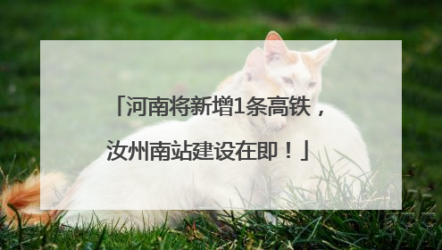 河南将新增1条高铁，汝州南站建设在即！