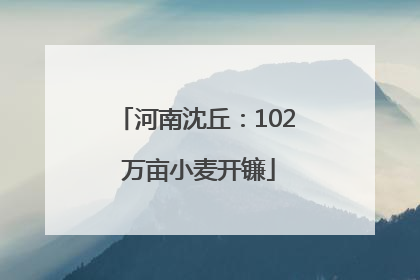 河南沈丘：102 万亩小麦开镰