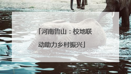 河南鲁山：校地联动助力乡村振兴