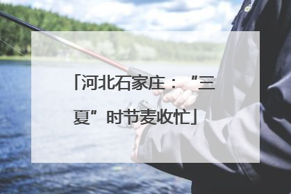河北石家庄：“三夏”时节麦收忙