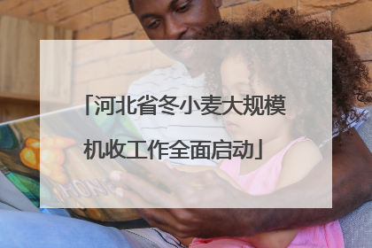 河北省冬小麦大规模机收工作全面启动