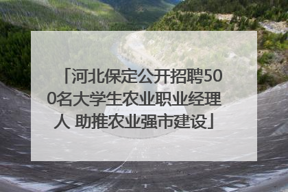 河北保定公开招聘500名大学生农业职业经理人 助推农业强市建设