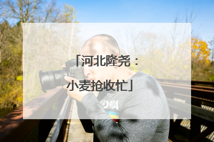 河北隆尧：小麦抢收忙