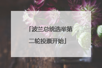 波兰总统选举第二轮投票开始