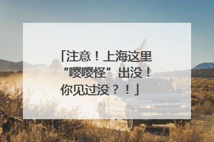注意！上海这里“嘤嘤怪”出没！你见过没？！