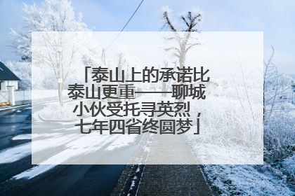 泰山上的承诺比泰山更重——聊城小伙受托寻英烈，七年四省终圆梦