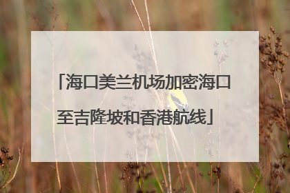 海口美兰机场加密海口至吉隆坡和香港航线