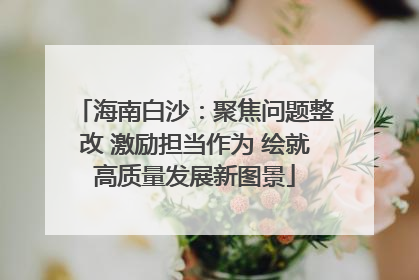 海南白沙：聚焦问题整改 激励担当作为 绘就高质量发展新图景