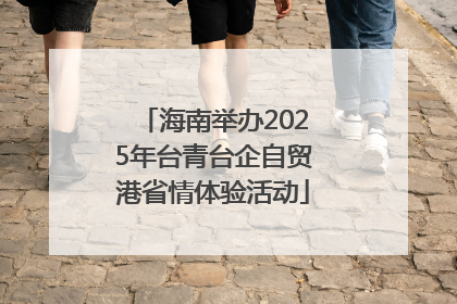 海南举办2025年台青台企自贸港省情体验活动