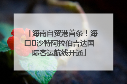 海南自贸港首条！海口⇌沙特阿拉伯吉达国际客运航线开通