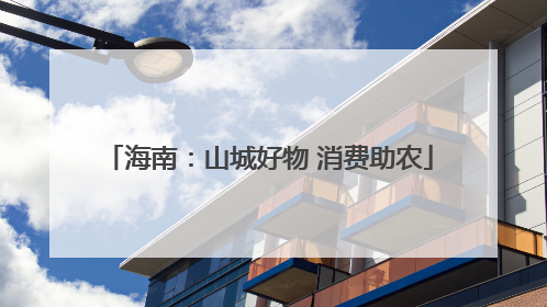 海南：山城好物 消费助农