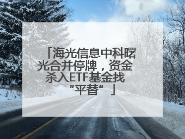 海光信息中科曙光合并停牌，资金杀入ETF基金找“平替”