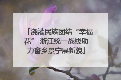 浇灌民族团结“幸福花” 浙江统一战线助力畲乡景宁展新貌
