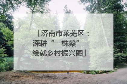 济南市莱芜区：深耕“一株桑” 绘就乡村振兴图