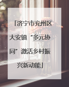 济宁市兖州区大安镇“多元协同”激活乡村振兴新动能