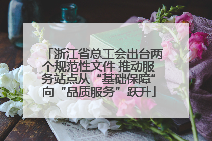 浙江省总工会出台两个规范性文件 推动服务站点从“基础保障”向“品质服务”跃升