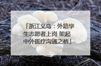 浙江义乌：外籍学生志愿者上岗 架起中外医疗沟通之桥