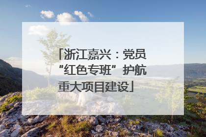 浙江嘉兴：党员“红色专班”护航重大项目建设