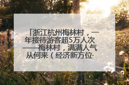 浙江杭州梅林村，一年接待游客超5万人次——梅林村，满满人气从何来（经济新方位·农村消费观察）