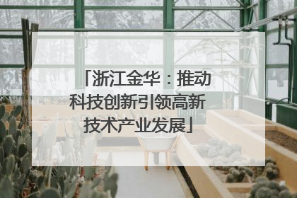 浙江金华：推动科技创新引领高新技术产业发展
