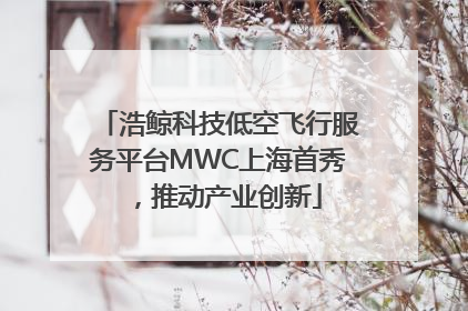 浩鲸科技低空飞行服务平台MWC上海首秀，推动产业创新