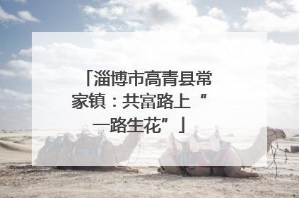 淄博市高青县常家镇：共富路上“一路生花”