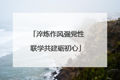 淬炼作风强党性 联学共建砺初心
