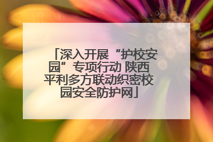 深入开展“护校安园”专项行动 陕西平利多方联动织密校园安全防护网