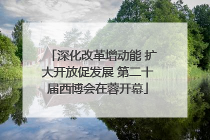 深化改革增动能 扩大开放促发展 第二十届西博会在蓉开幕