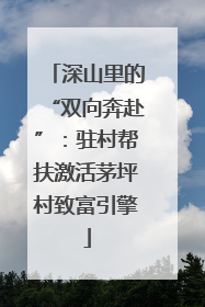 深山里的“双向奔赴”：驻村帮扶激活茅坪村致富引擎